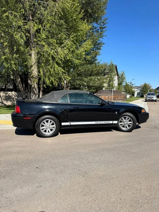 2002 Ford SN95 Mustang - Image 2 of 8
