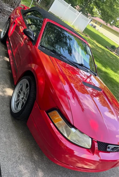 2002 Ford SN95 Mustang - Image 2 of 4