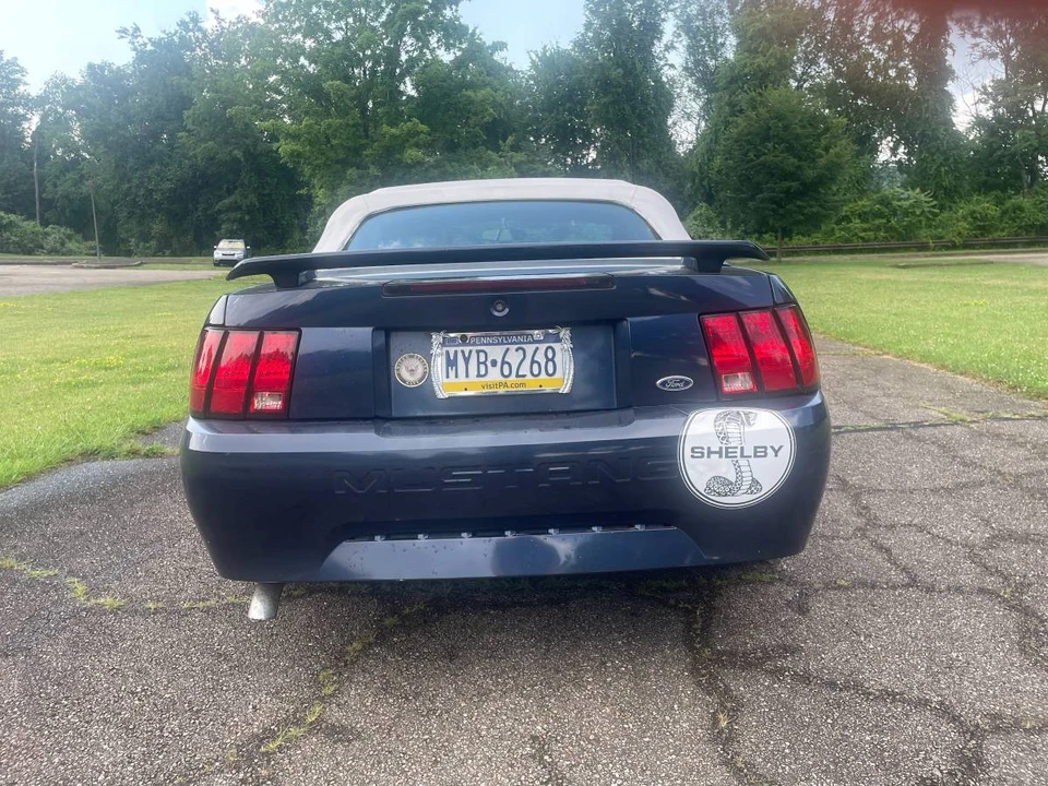 2002 Ford SN95 Mustang - Image 6 of 12
