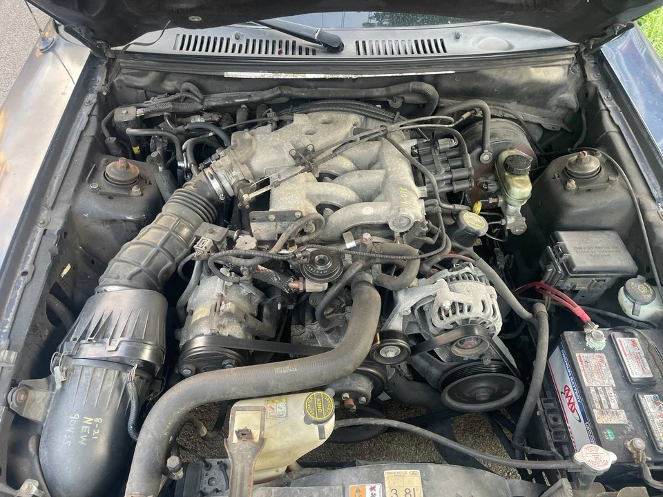 2002 Ford SN95 Mustang - Image 12 of 12