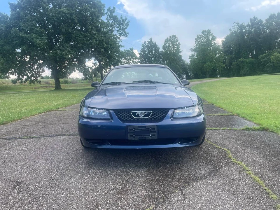2002 Ford SN95 Mustang - Image 5 of 12