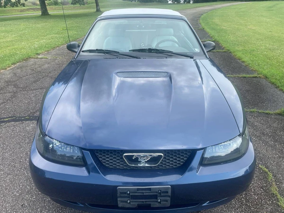 2002 Ford SN95 Mustang - Image 8 of 12