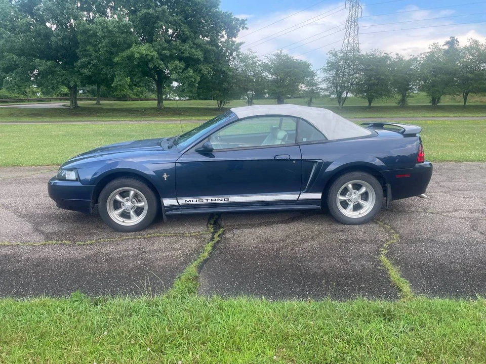 2002 Ford SN95 Mustang - Image 3 of 12