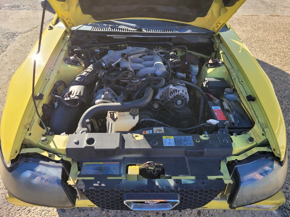 2002 Ford SN95 Mustang - Image 11 of 12