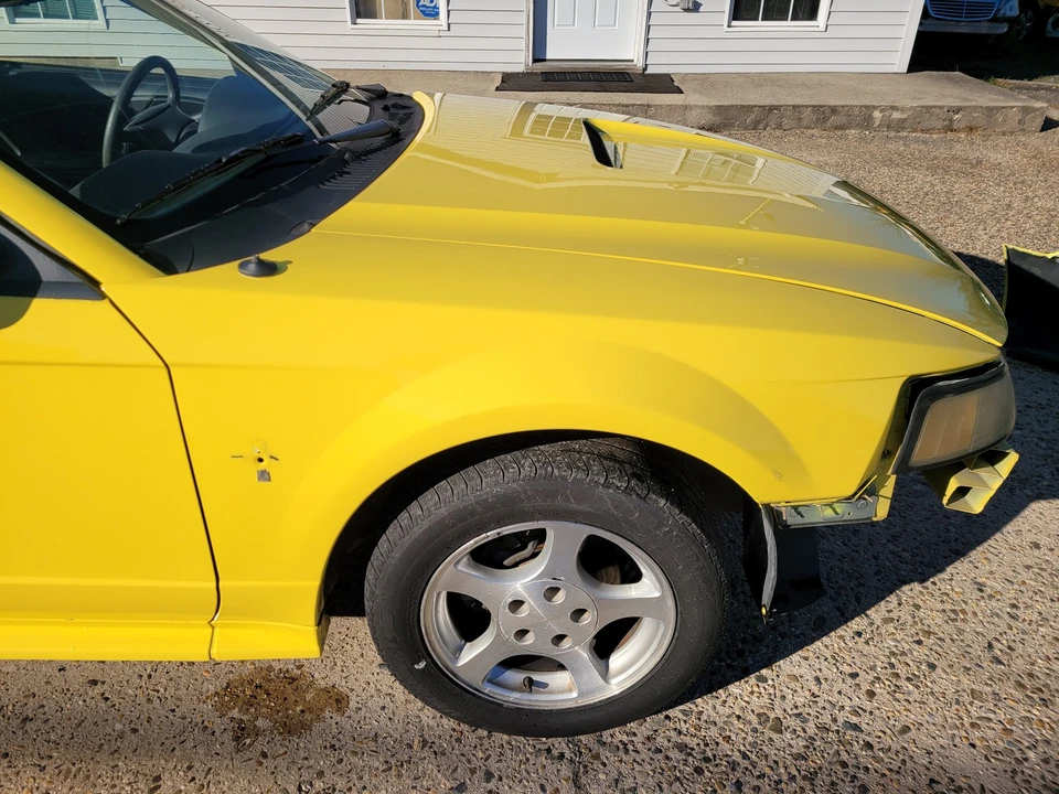 2002 Ford SN95 Mustang - Image 14 of 21