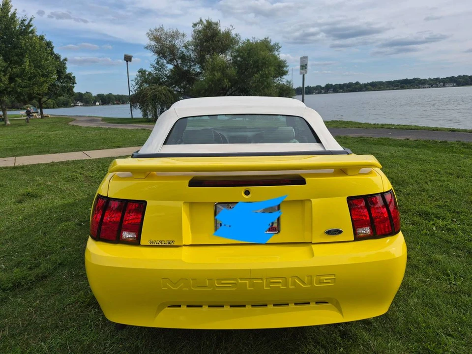 2002 Ford SN95 Mustang - Image 7 of 22