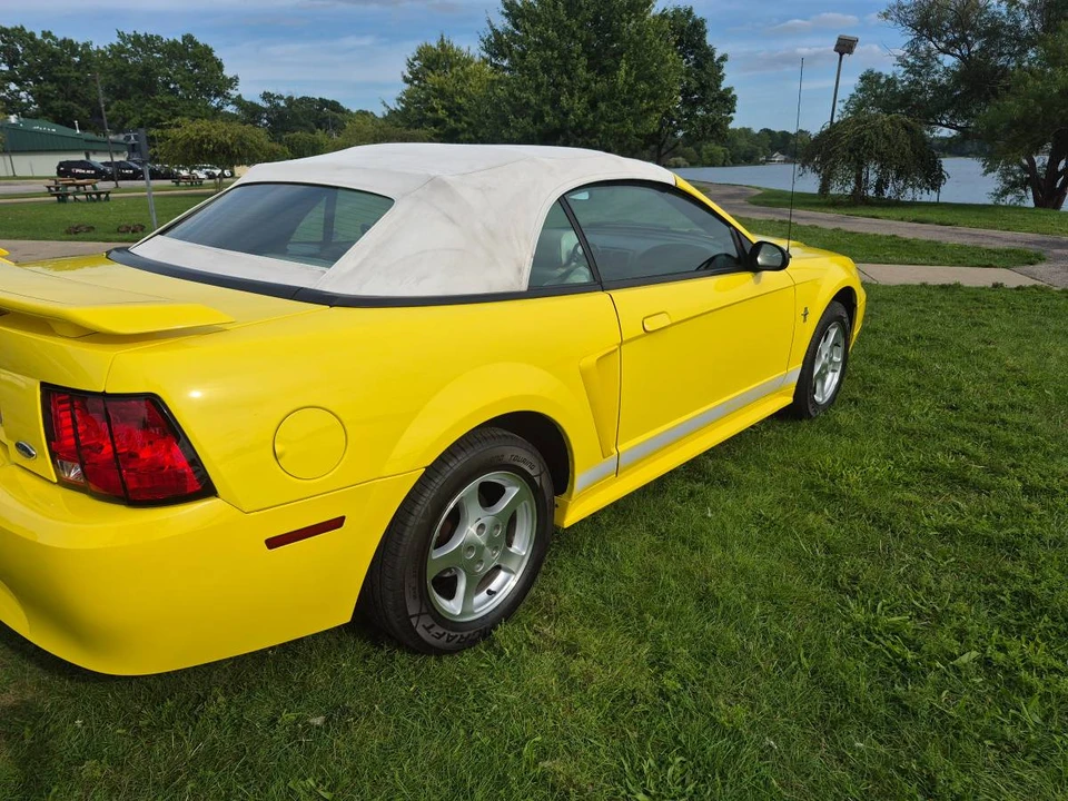 2002 Ford SN95 Mustang - Image 6 of 22