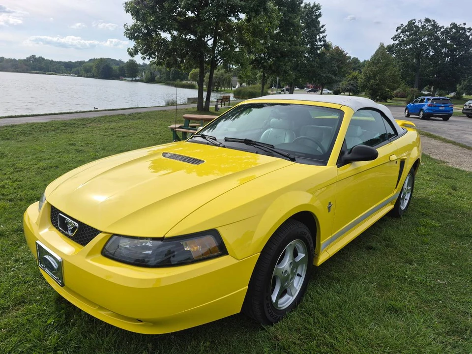 2002 Ford SN95 Mustang - Image 2 of 22