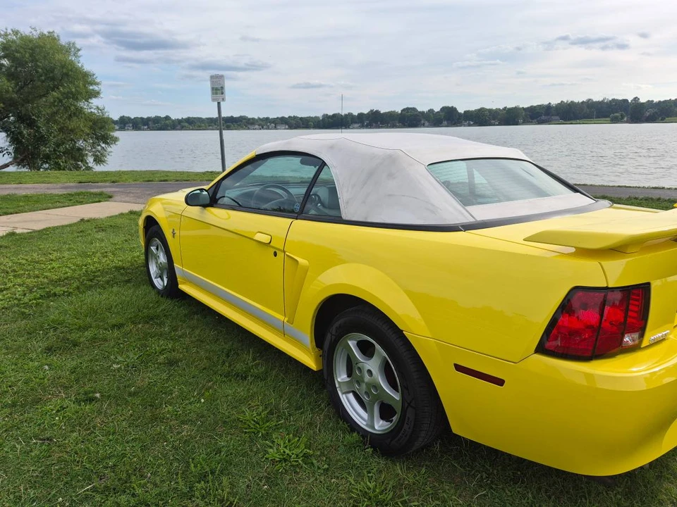 2002 Ford SN95 Mustang - Image 8 of 22