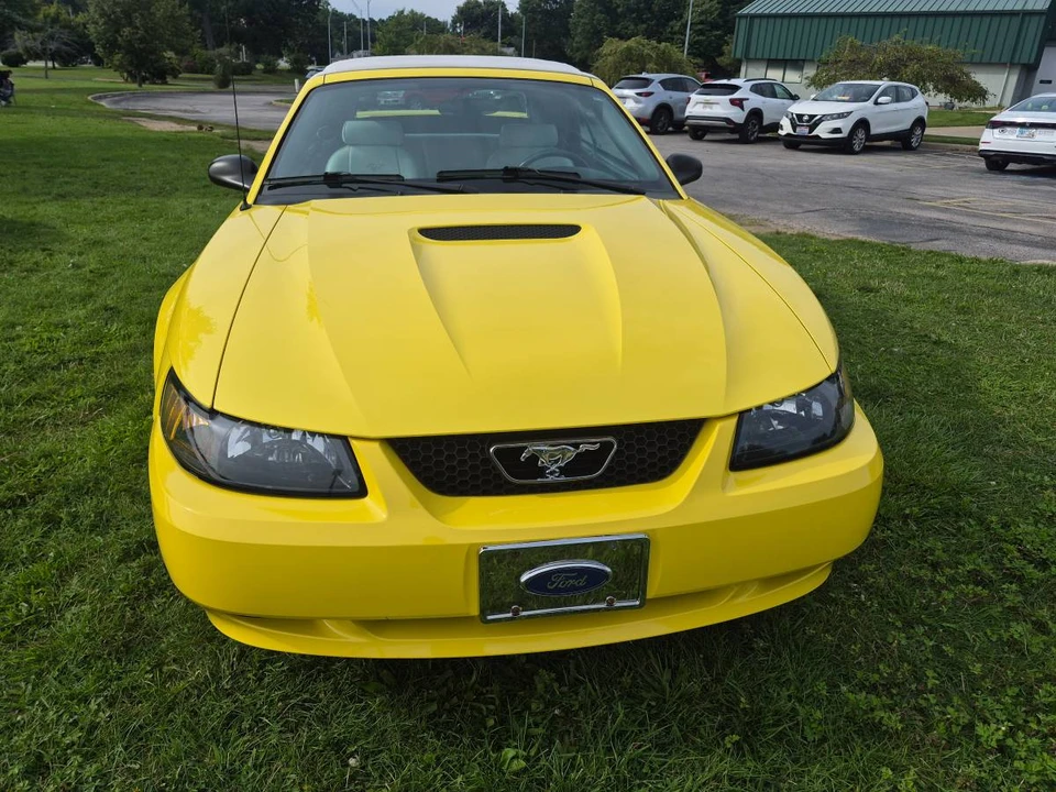2002 Ford SN95 Mustang - Image 3 of 22