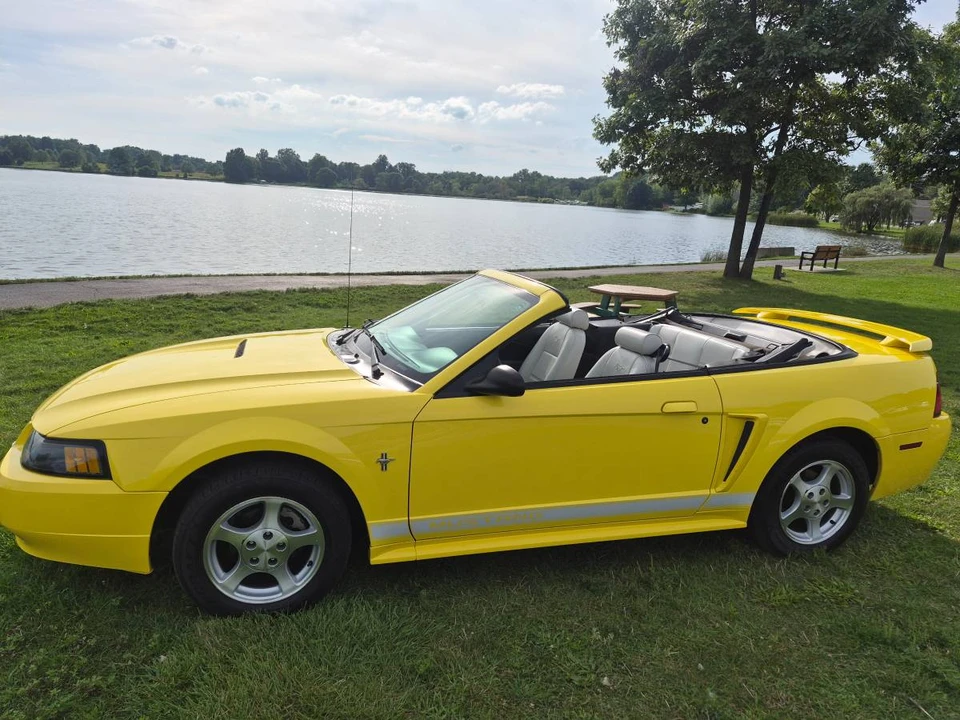 2002 Ford SN95 Mustang - Image 9 of 22