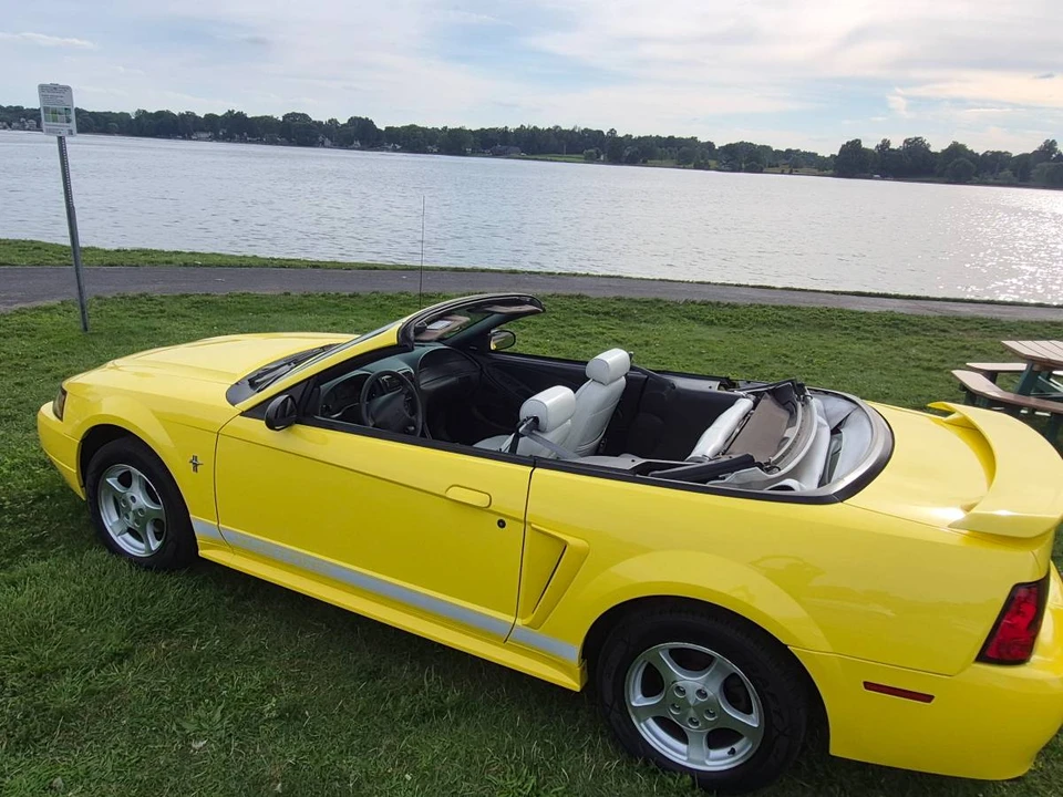 2002 Ford SN95 Mustang - Image 12 of 22