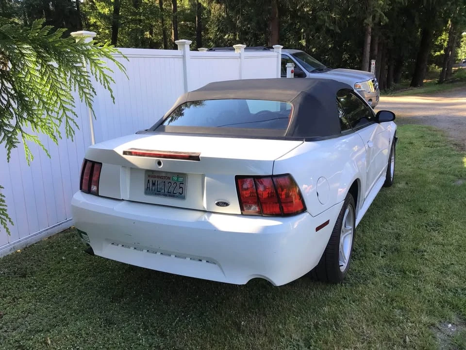 2002 Ford SN95 Mustang - Image 2 of 4