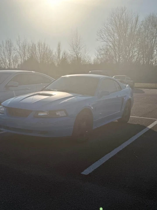 2002 Ford SN95 Mustang - Image 2 of 7