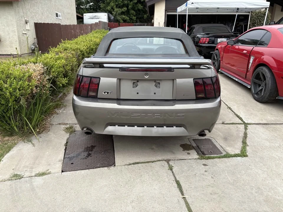 2002 Ford SN95 Mustang - Image 2 of 5
