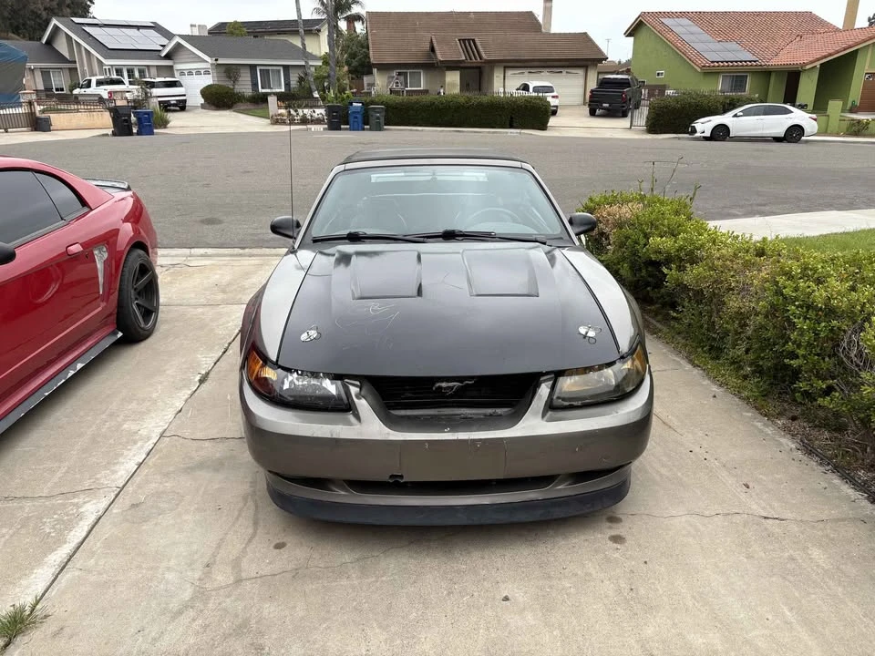 2002 Ford SN95 Mustang - Image 3 of 5