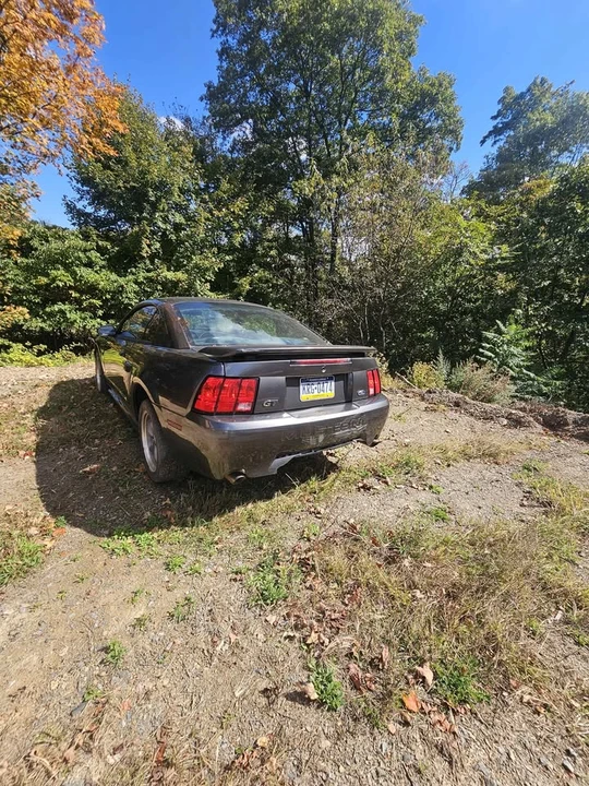 2002 Ford SN95 Mustang - Image 2 of 9