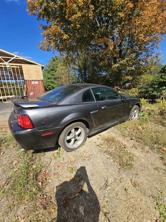 2002 Ford SN95 Mustang - Image 3 of 9