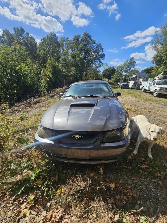 2002 Ford SN95 Mustang - Image 4 of 9