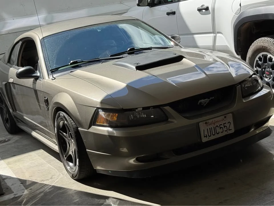 2002 Ford SN95 Mustang - Image 8 of 11