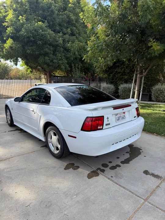 2002 Ford SN95 Mustang - Image 3 of 20