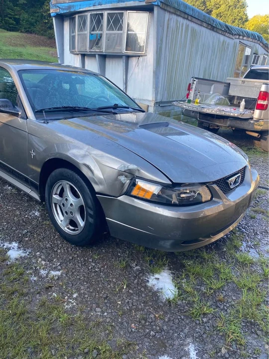 2002 Ford SN95 Mustang - Image 2 of 7