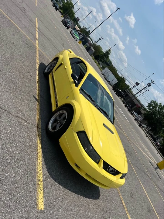 2002 Ford SN95 Mustang - Image 2 of 9