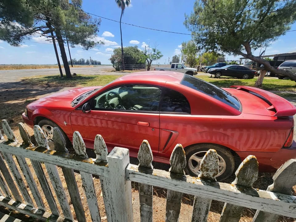 2002 Ford SN95 Mustang - Image 7 of 7