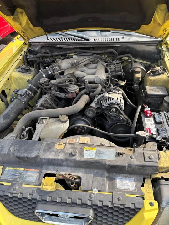 2002 Ford SN95 Mustang - Image 3 of 9