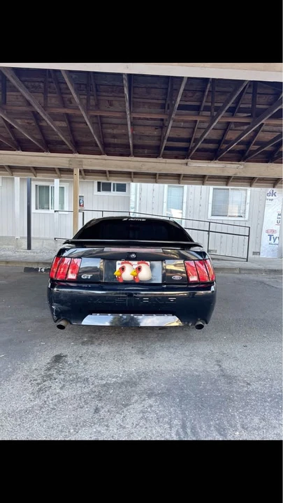 2002 Ford SN95 Mustang - Image 16 of 16