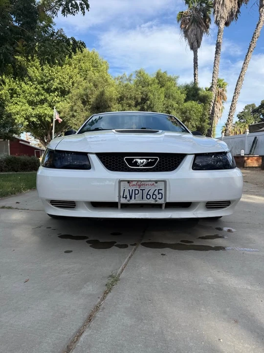 2002 Ford SN95 Mustang - Image 2 of 20