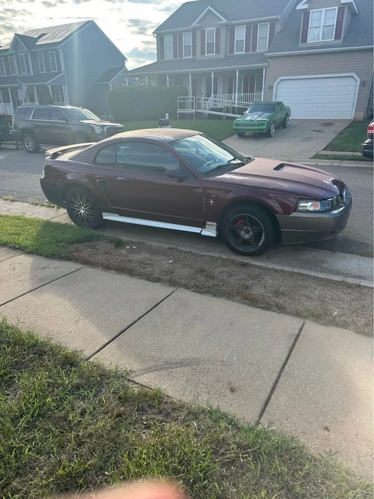 2002 Ford SN95 Mustang - Image 2 of 2