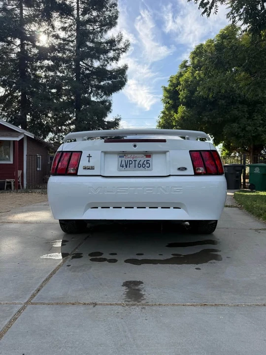 2002 Ford SN95 Mustang - Image 4 of 20