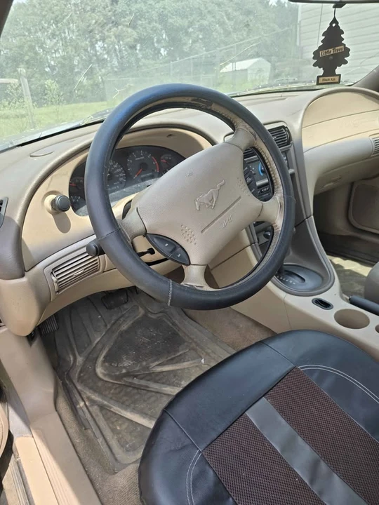 2002 Ford SN95 Mustang - Image 2 of 6
