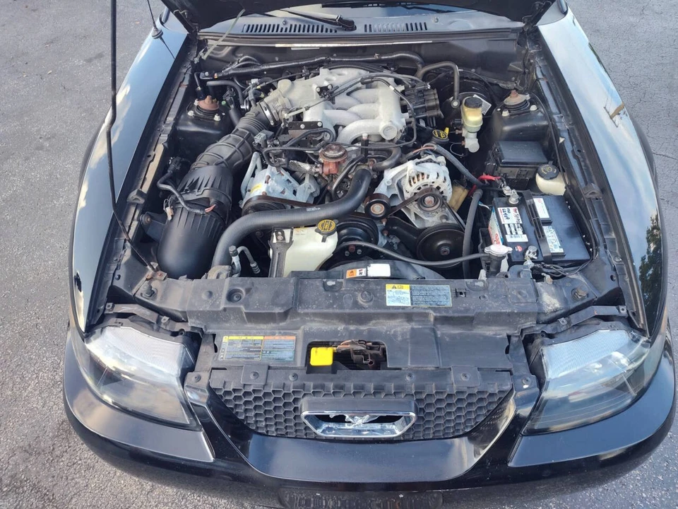 2002 Ford SN95 Mustang - Image 18 of 18