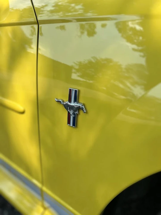 2002 Ford SN95 Mustang - Image 8 of 19