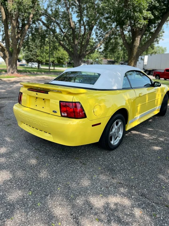 2002 Ford SN95 Mustang - Image 13 of 19