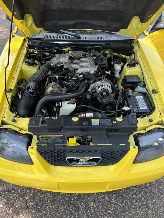 2002 Ford SN95 Mustang - Image 19 of 19
