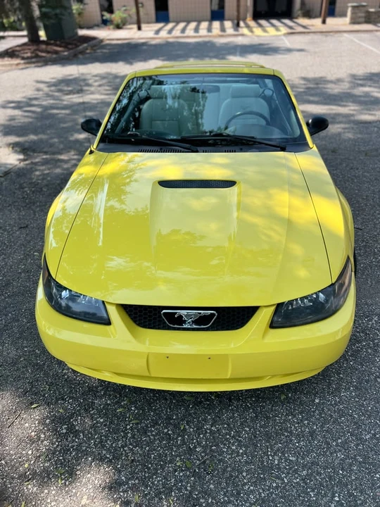 2002 Ford SN95 Mustang - Image 8 of 19