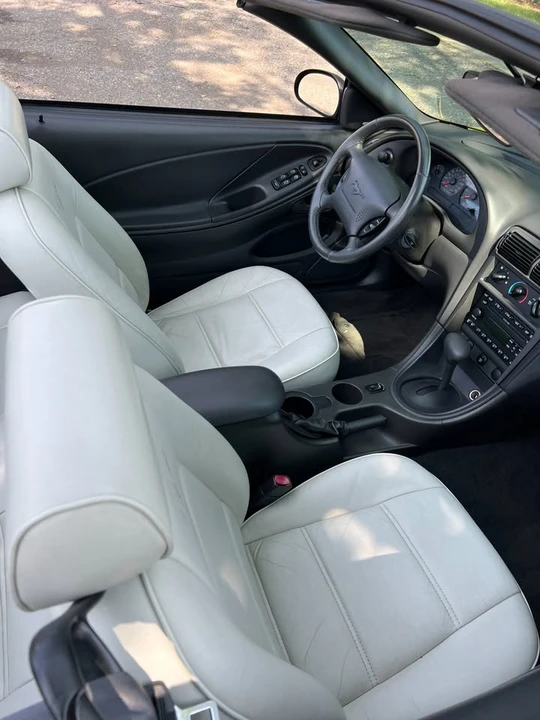 2002 Ford SN95 Mustang - Image 18 of 19