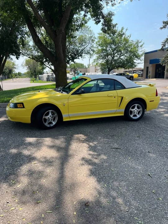 2002 Ford SN95 Mustang - Image 6 of 19