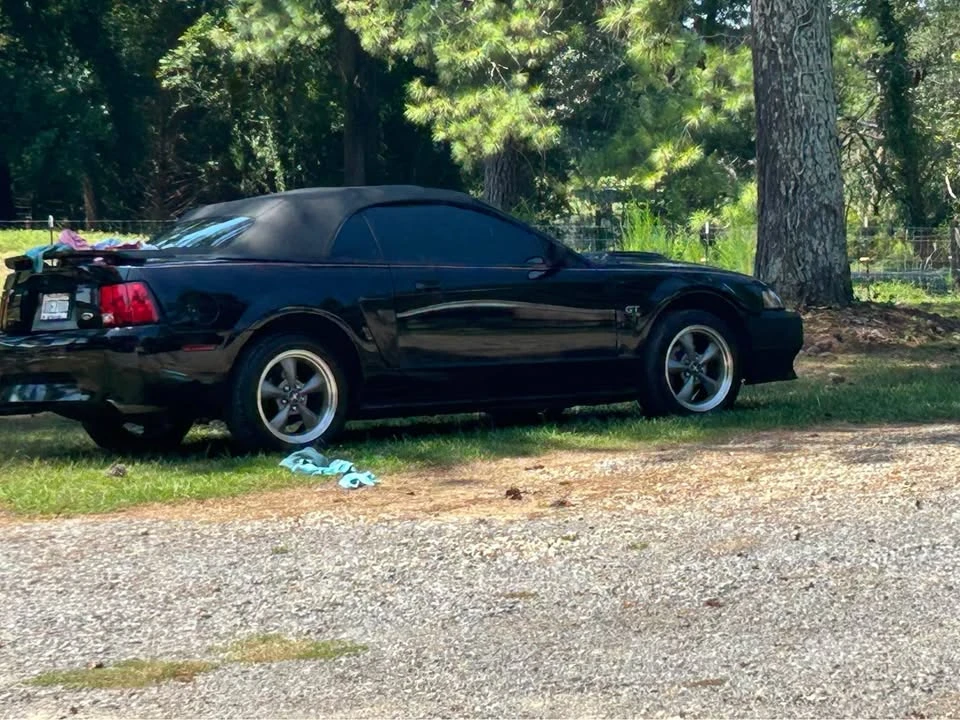 2002 Ford SN95 Mustang - Image 19 of 20