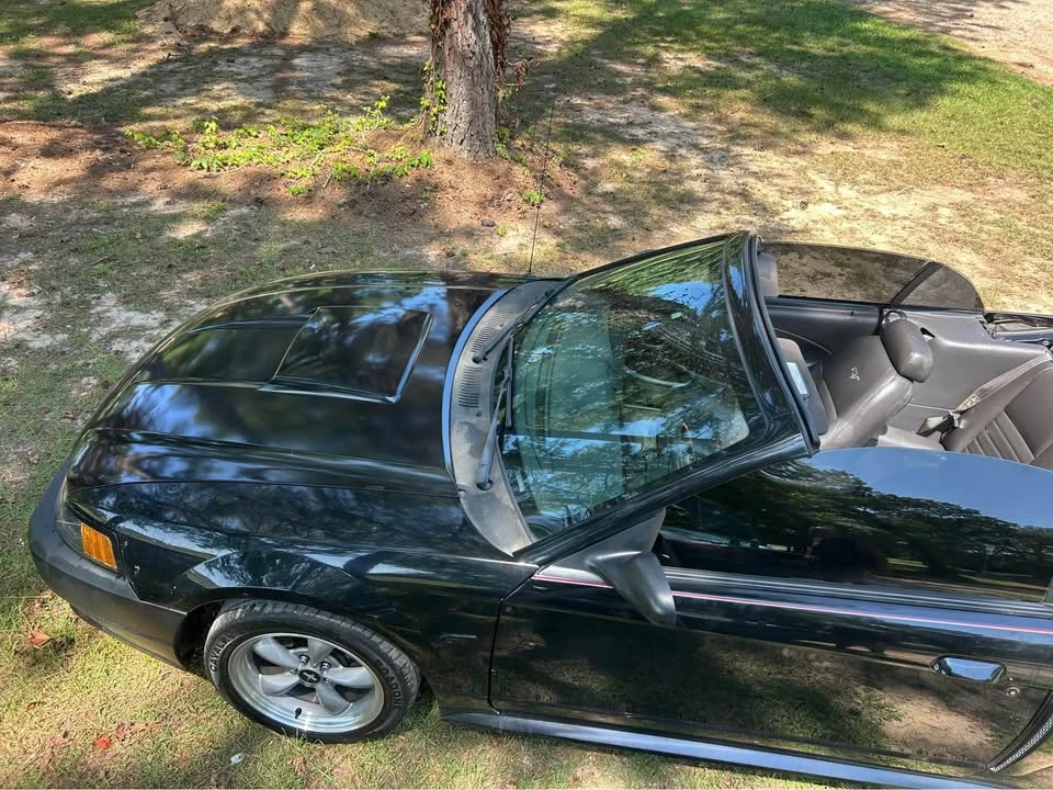 2002 Ford SN95 Mustang - Image 3 of 20