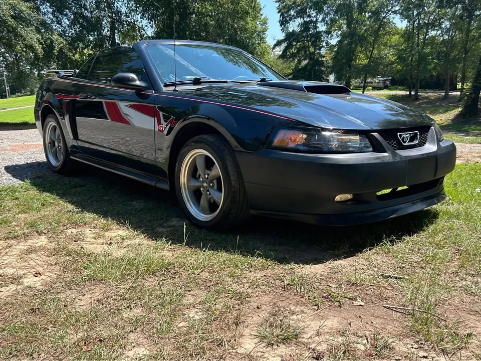 2002 Ford SN95 Mustang - Image 5 of 20