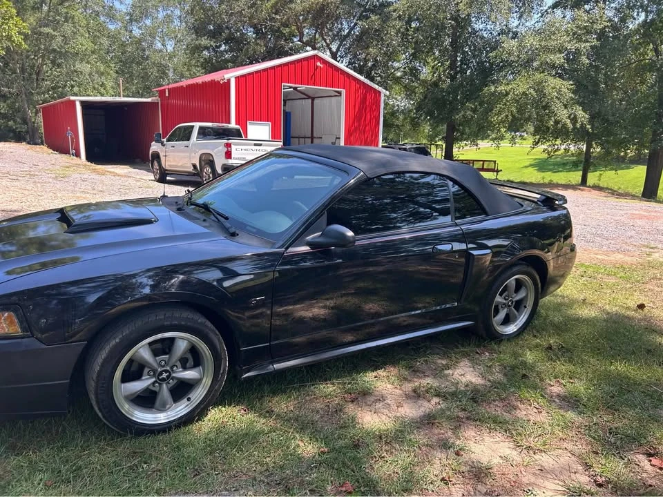 2002 Ford SN95 Mustang - Image 18 of 20