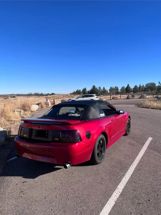 2002 Ford SN95 Mustang - Image 3 of 8