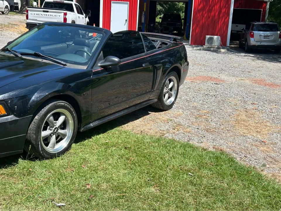 2002 Ford SN95 Mustang - Image 5 of 17
