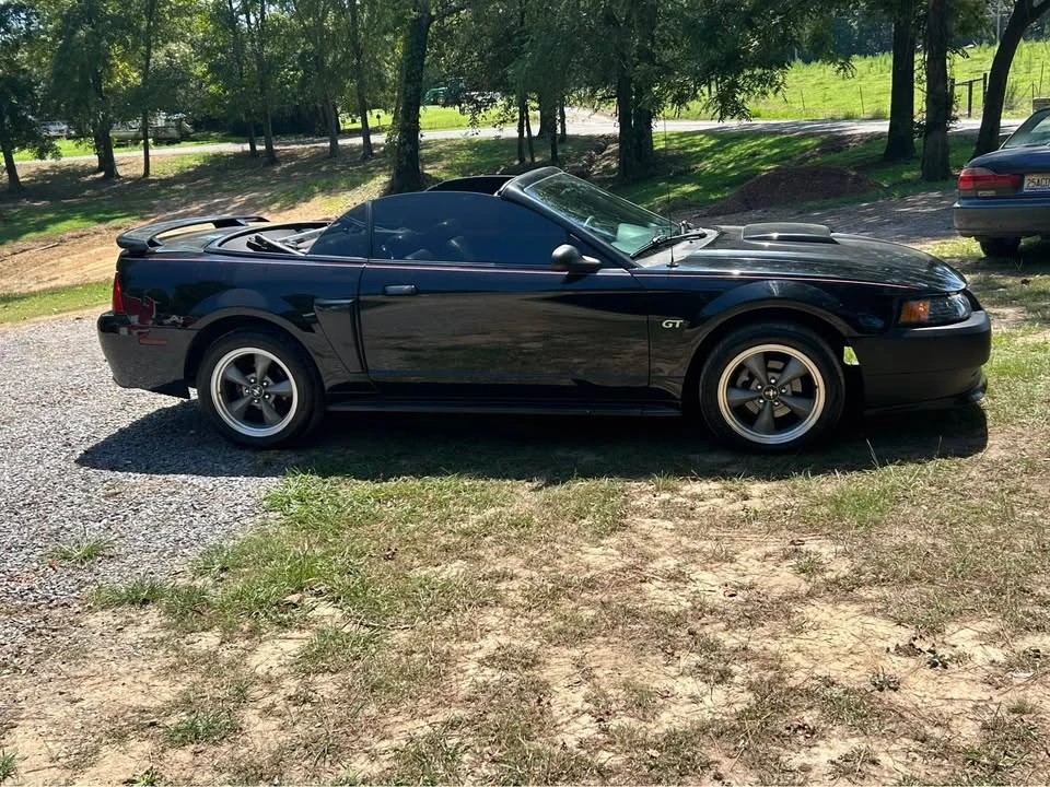 2002 Ford SN95 Mustang - Image 2 of 17