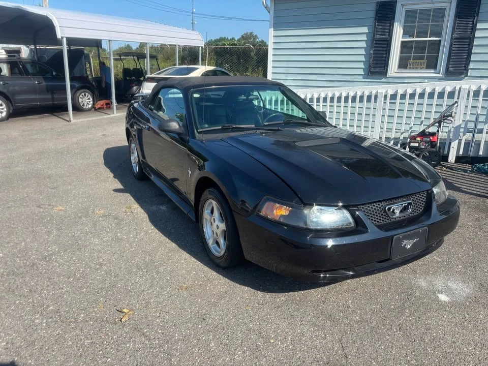 2002 Ford SN95 Mustang - Image 4 of 16