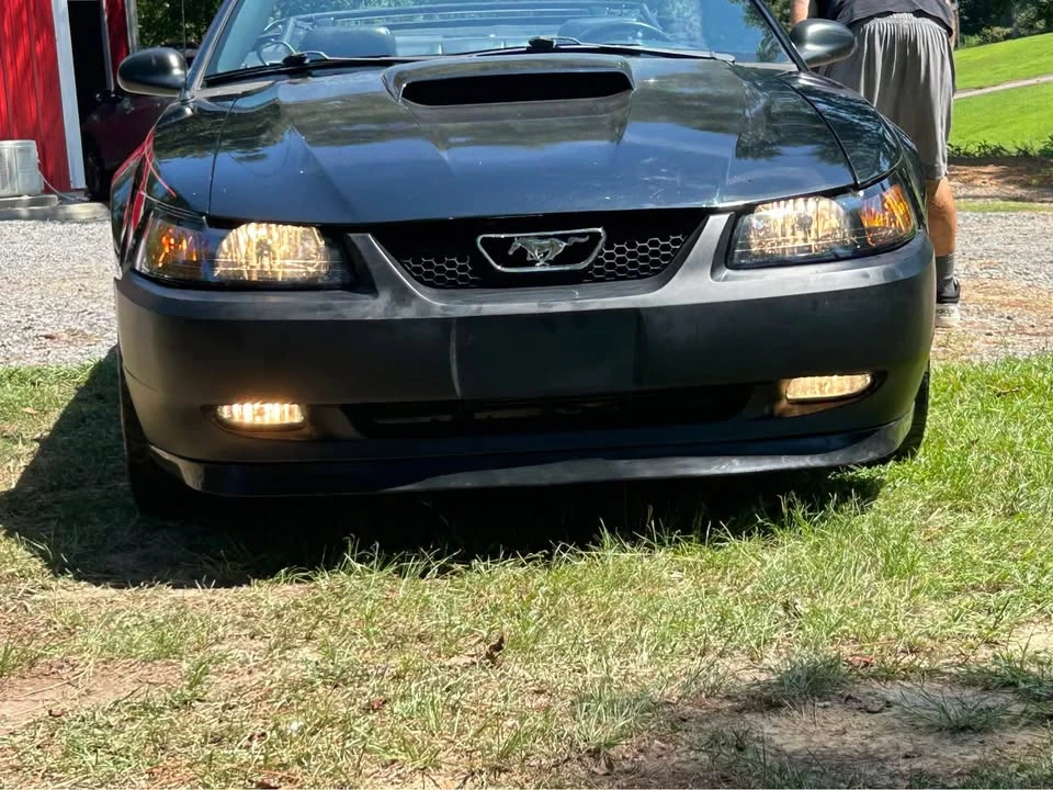2002 Ford SN95 Mustang - Image 7 of 17